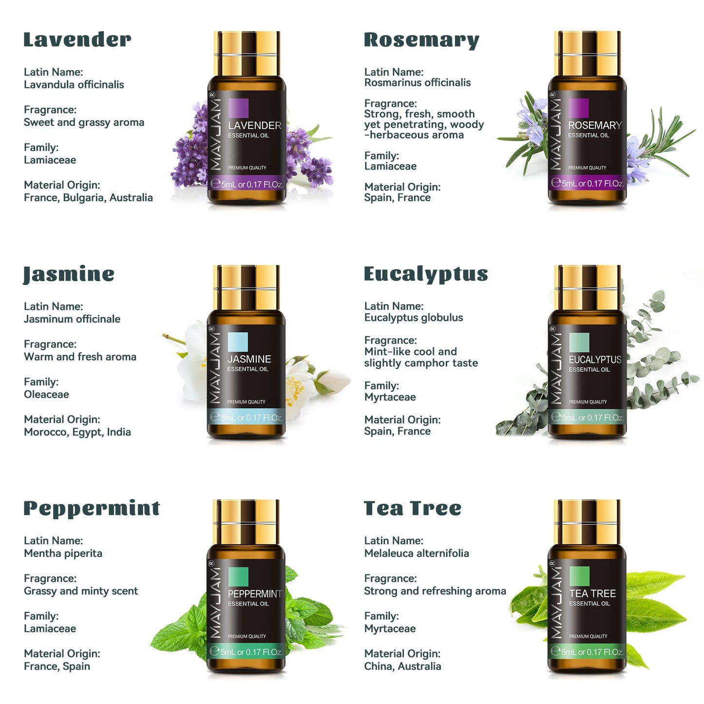 MAYJAM 35 Bottles Essential Oils Kit Gift Box Assorted Scents