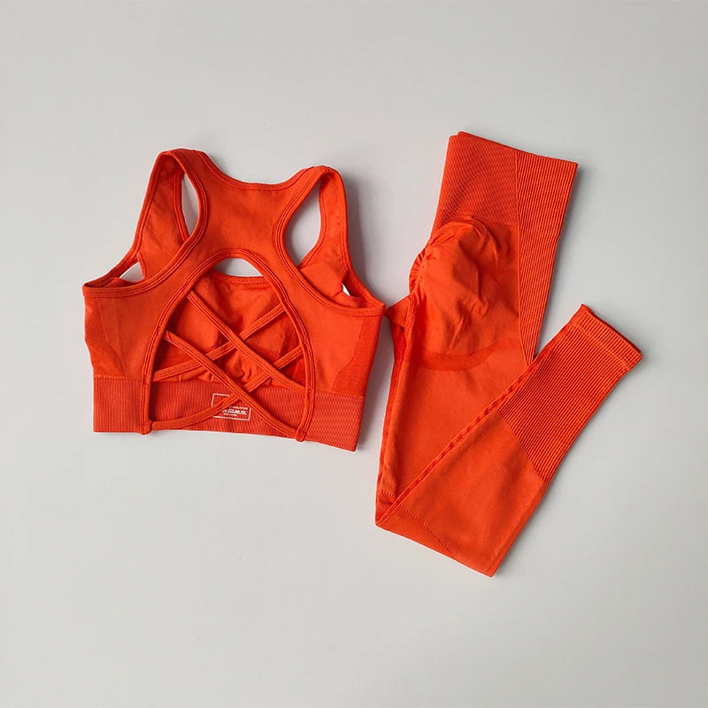 Two Piece Women Yoga Set Sports Bra Tank Top Leggings
