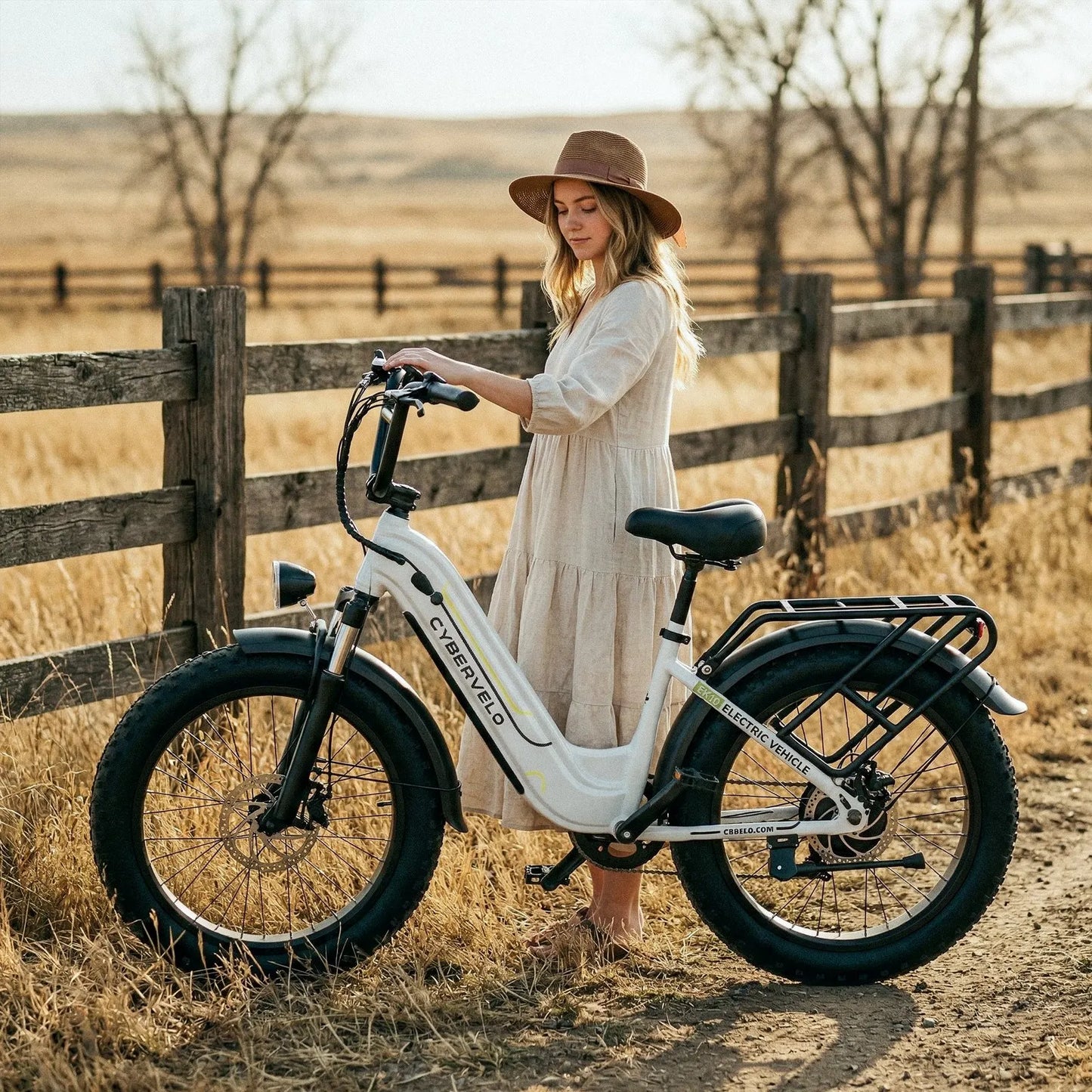 Aoango 1000W Peak Electric Bicycle For Adults Step Through Ebike 48V Battery