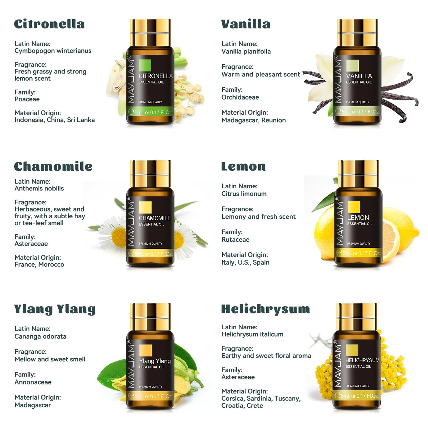 MAYJAM 35 Bottles Essential Oils Kit Gift Box Assorted Scents