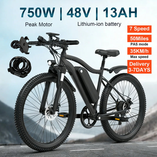 Toofly Electric Mountain Bike 48V 13Ah Removable Battery 500W