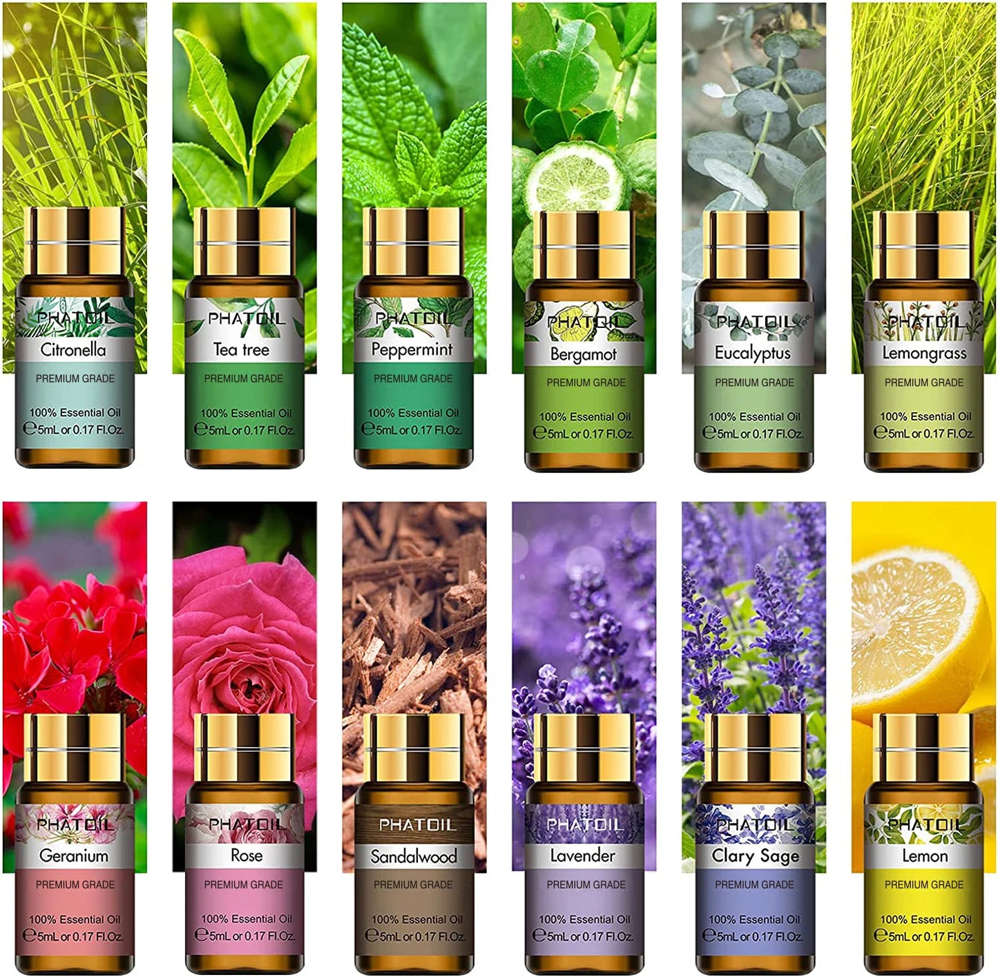 PHATOIL 12 Piece Gift Box Essential Oils Lavender Rose Lemongrass